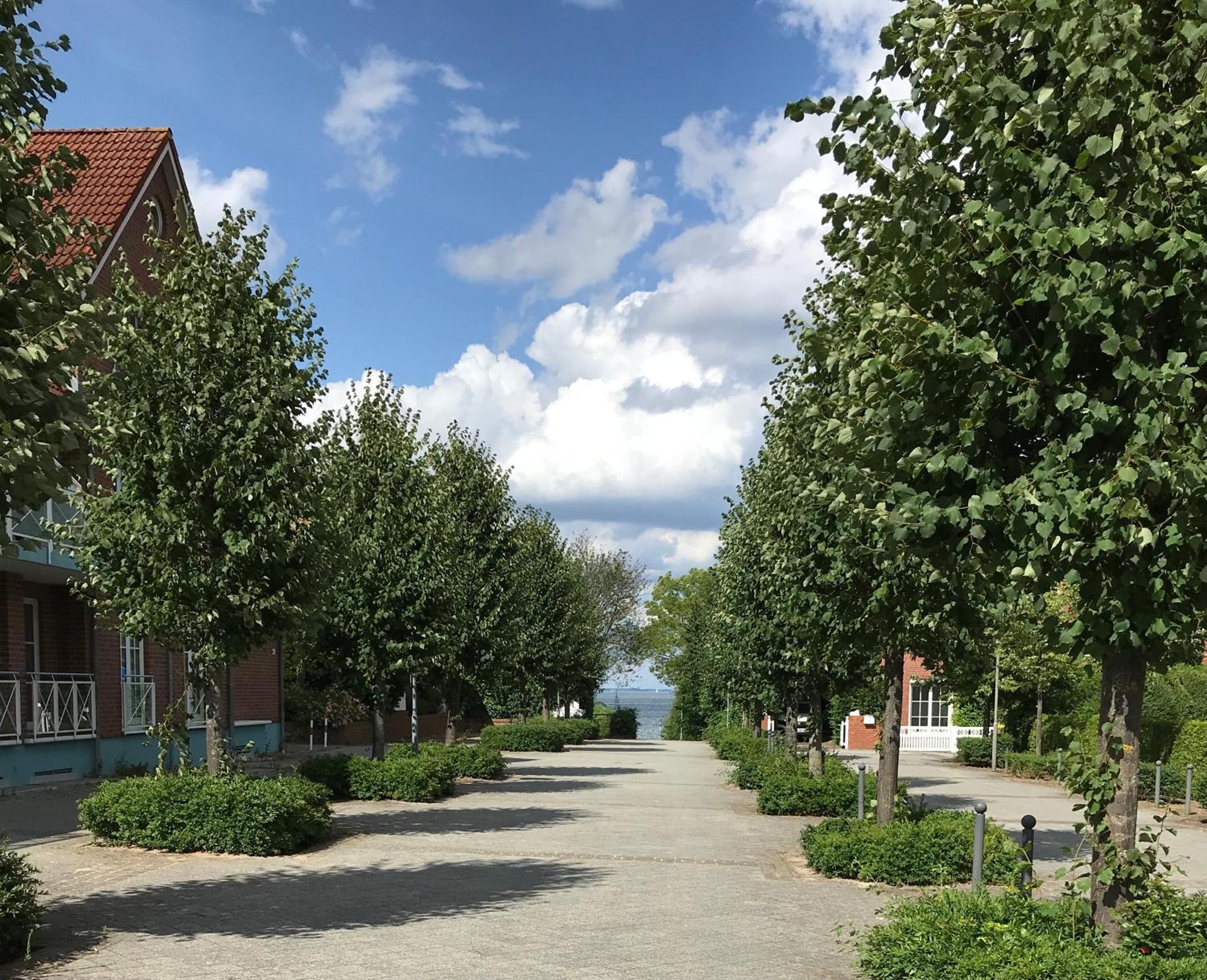 Ost11A Ferienwohnung Strandnah Niendorf  Zewnętrze zdjęcie